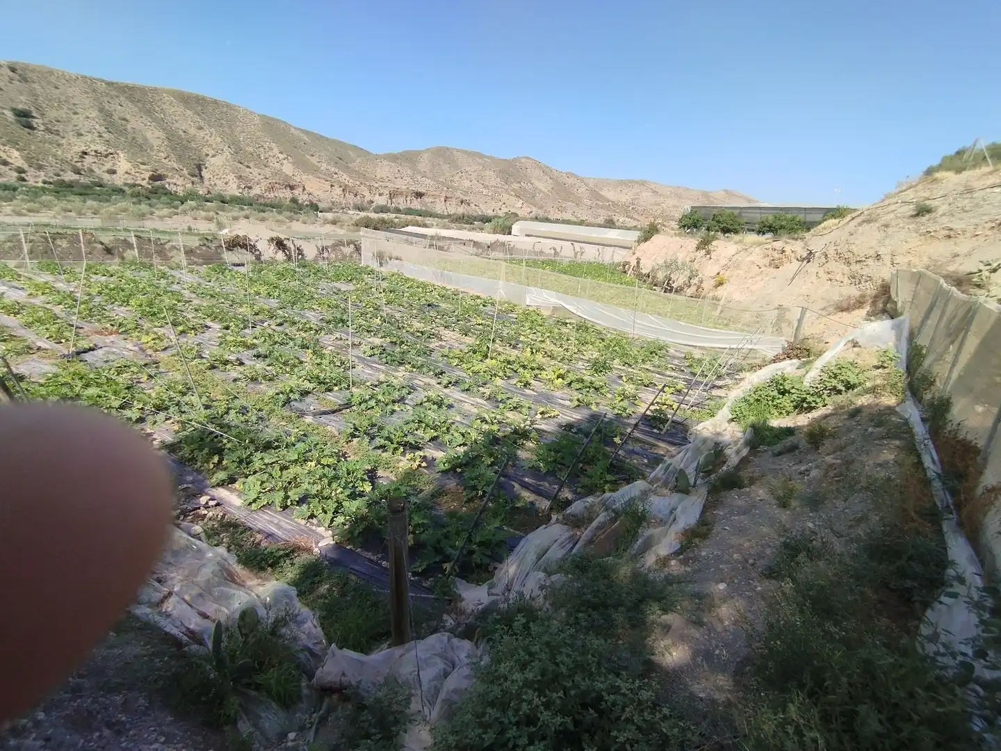 Terreno rustico in vendita a Santa Fe de Mondújar, imagen 17