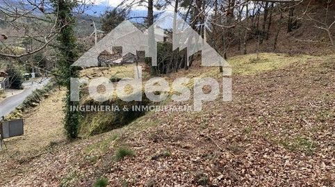 A Cañiza, immagine 2