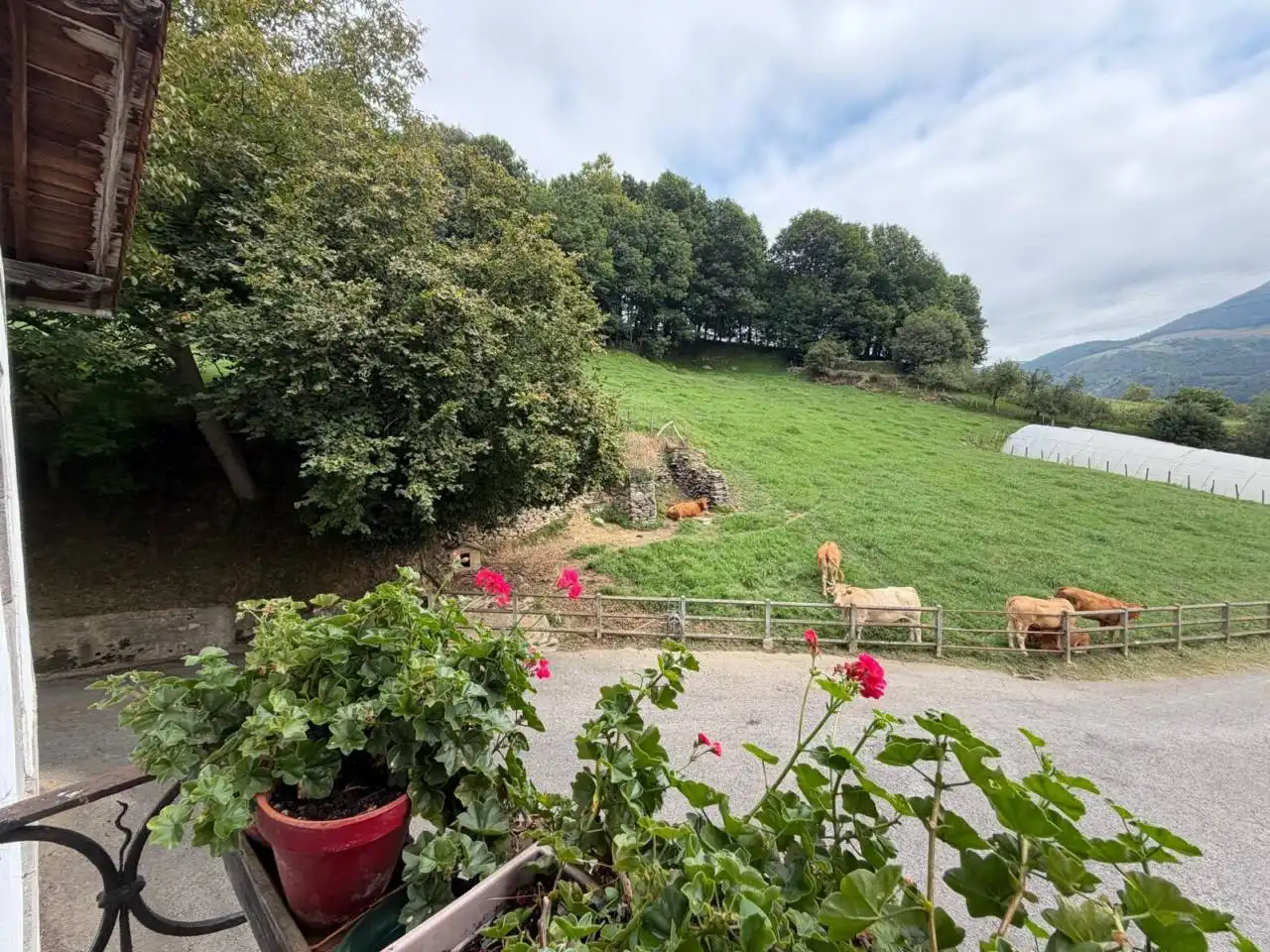 Garden of Houses for sale in Hernialde  with Private garden, Terrace and Furnished
