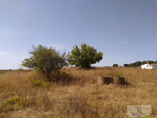 Terreno residencial en Venta en Villarrasa