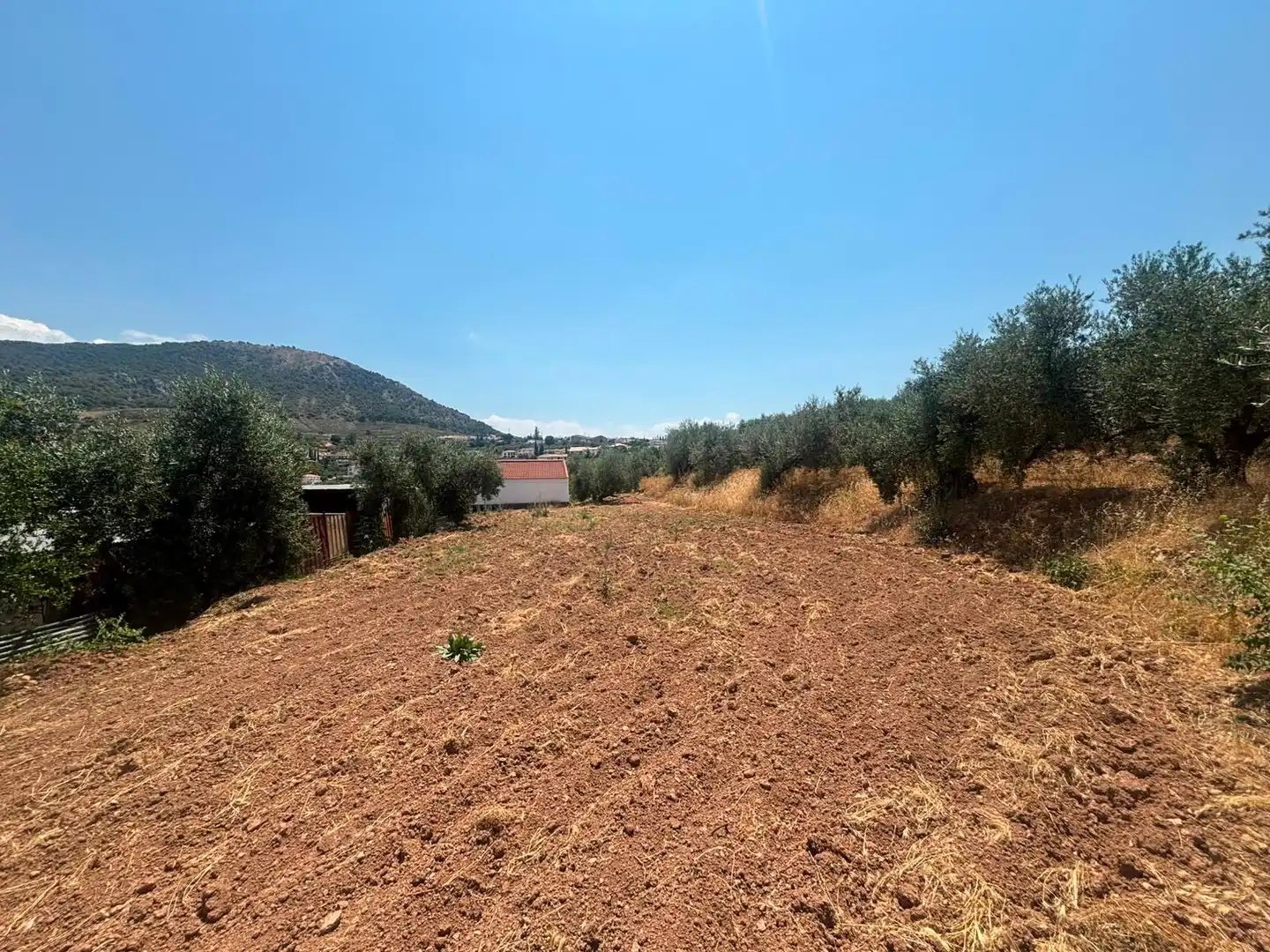 Terreno rustico in vendita a Polígono 4 Paraje 72 LAS ESPEQUELAS, imagen 11