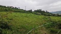 Land for sale in Villaviciosa