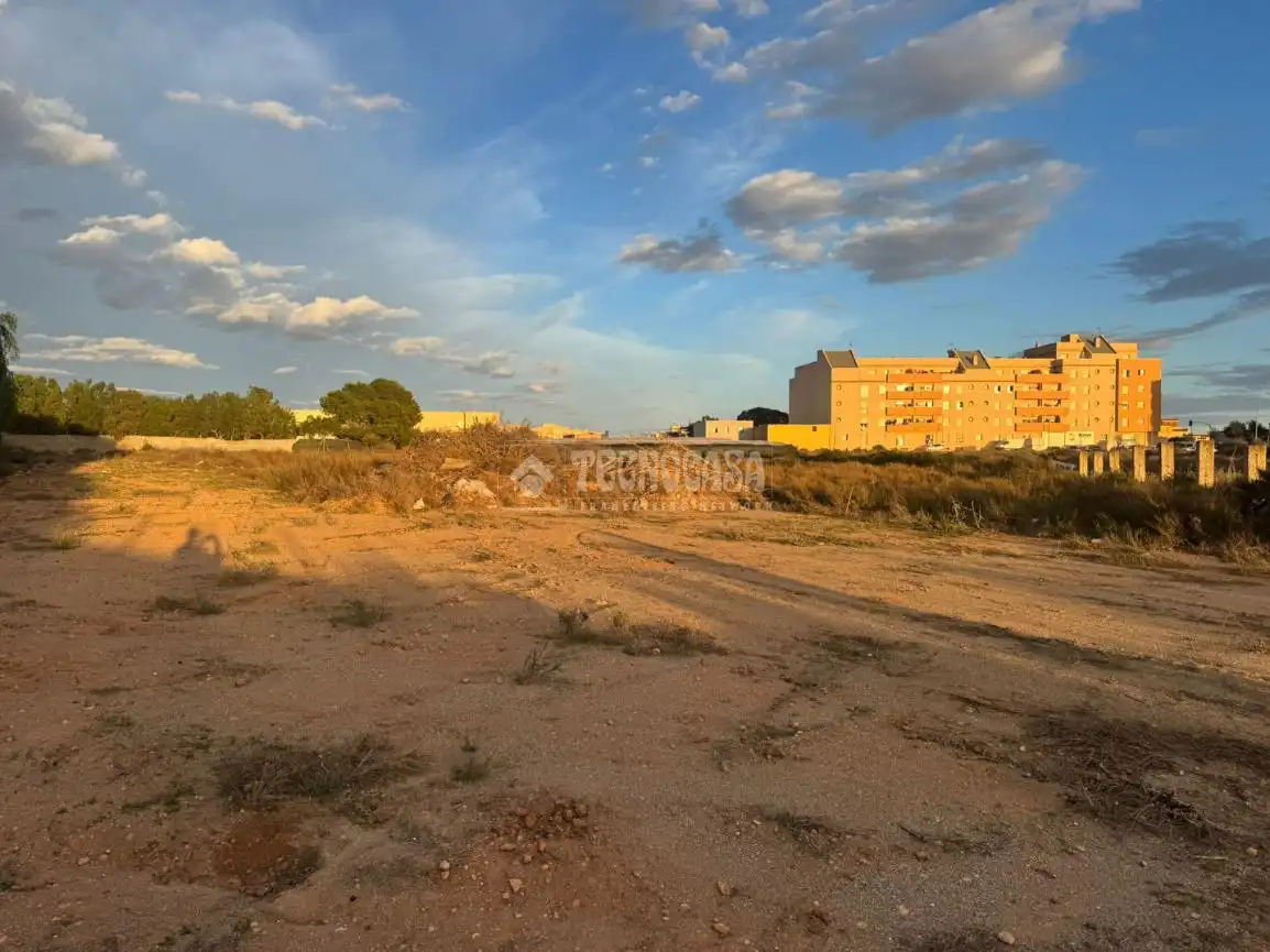 Terreno rústico en venta en Roquetas de Mar ciudad, imagen 8