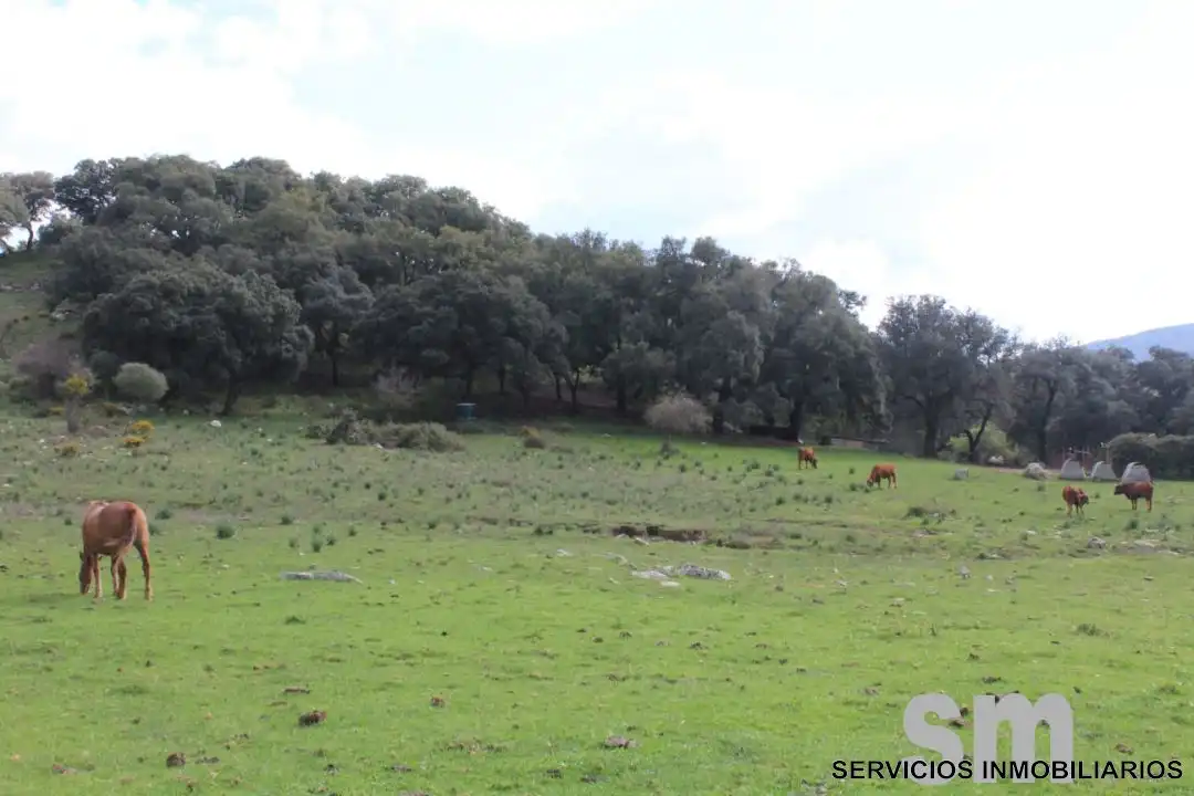 Terreni e lotti in vendita a Cortes de la Frontera, imagen 10