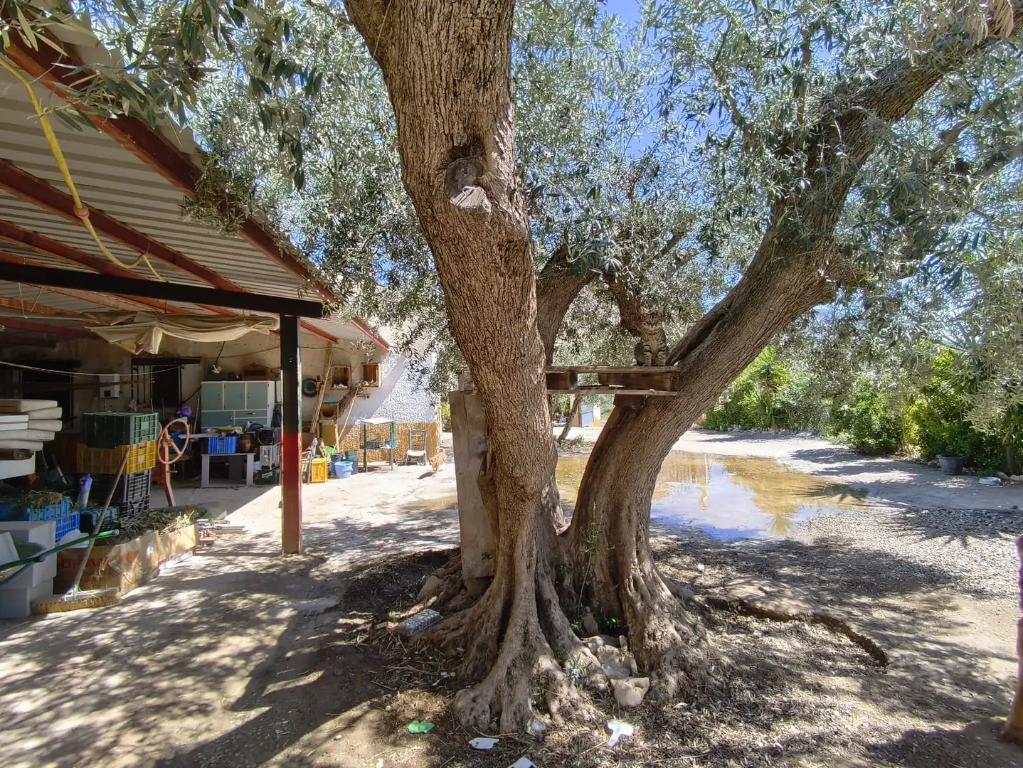 Finca rústica en venta en Vélez-Blanco con Aire acondicionado, Calefacción y Jardín privado