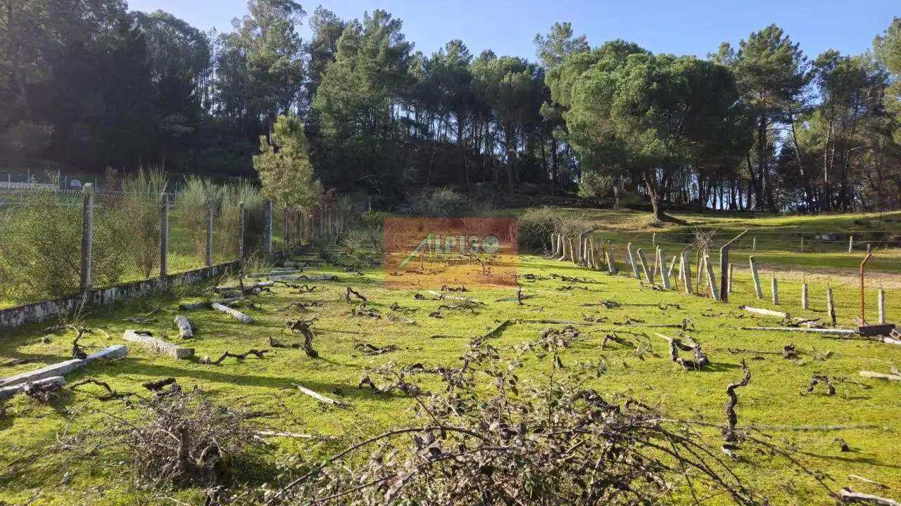Residencial en venta en San Cibrao das Viñas