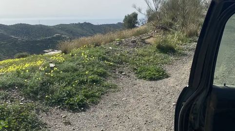 Foto 5 de Finca rústica en venda a Moclinejo, Málaga