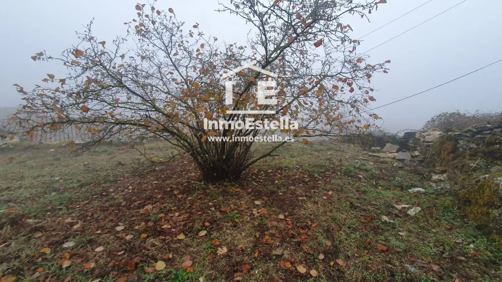 Rural land for sale in CALLE MAYOR,, imagen 13