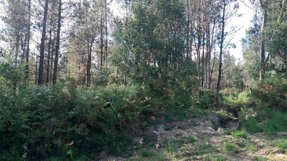 Residential zum Verkauf in CAL DAS CHOUSAS 5, -1, Monfero