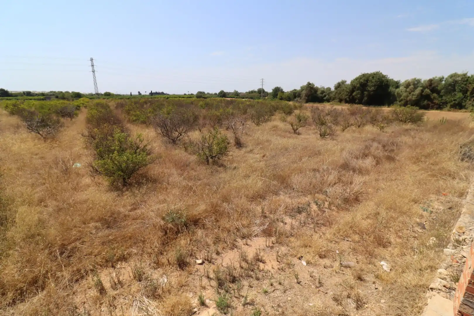 Terreno rustico in vendita a Alcanar, imagen 8
