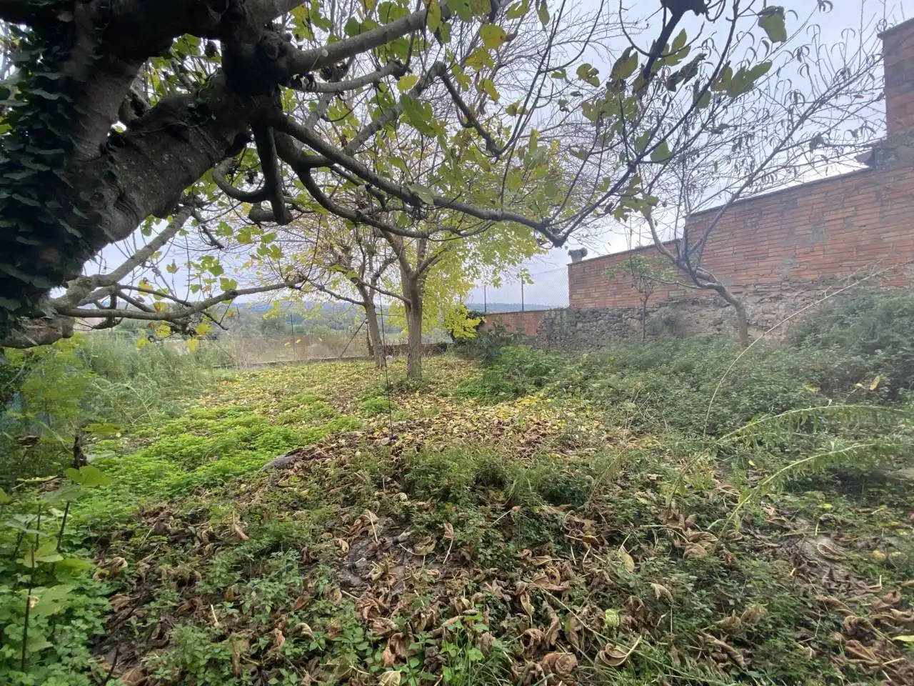 Casa o chalet en venta en Perafita con Jardín privado y Terraza