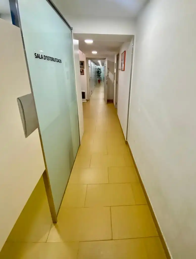 Büro zum Verkauf in Carrer de Casanova, imagen 10
