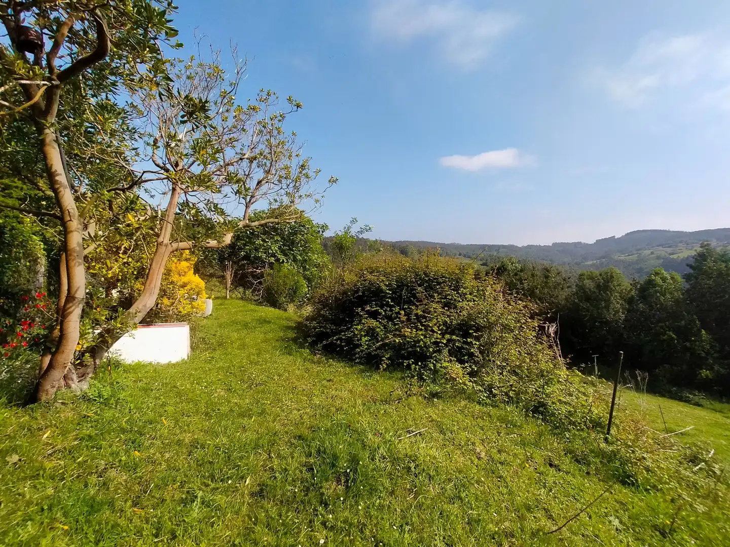 Jardí de Finca rústica en venda en Cudillero amb Jardí privat, Terrassa i Traster