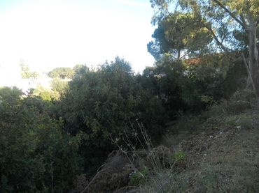 Terreno residencial en venta en Torreblanca del Sol