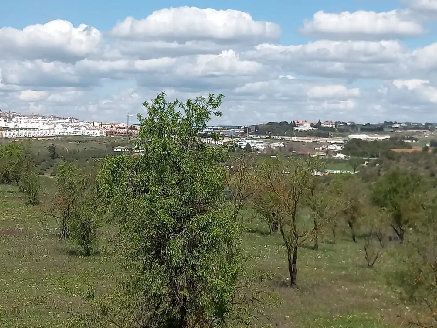 Houses for sale in Ronda  with Air Conditioner, Heating and Private garden