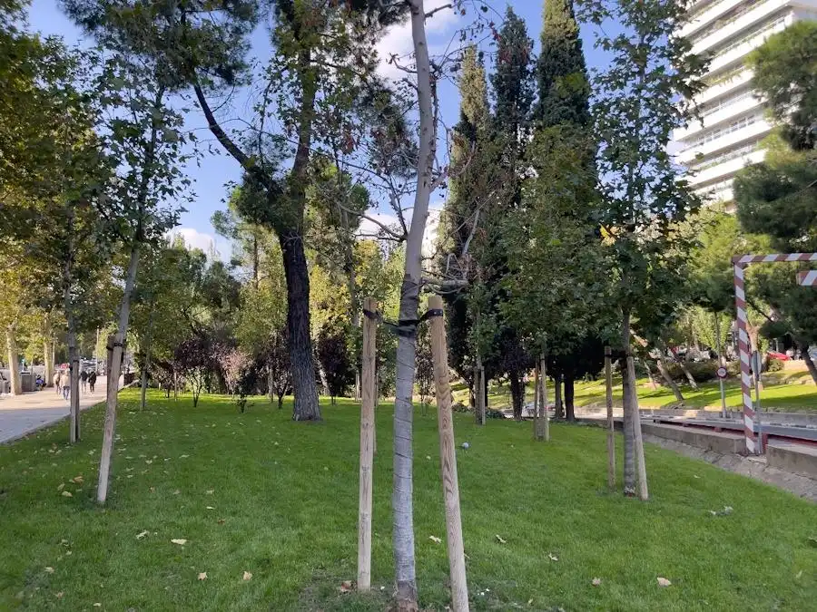 Jardí de Local de lloguer en Madrid amb Aire condicionat