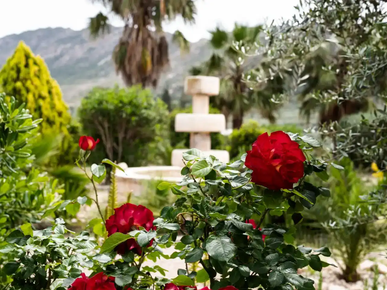 Jardín de Piso en venta en Calasparra con Aire acondicionado, Piscina y Amueblado