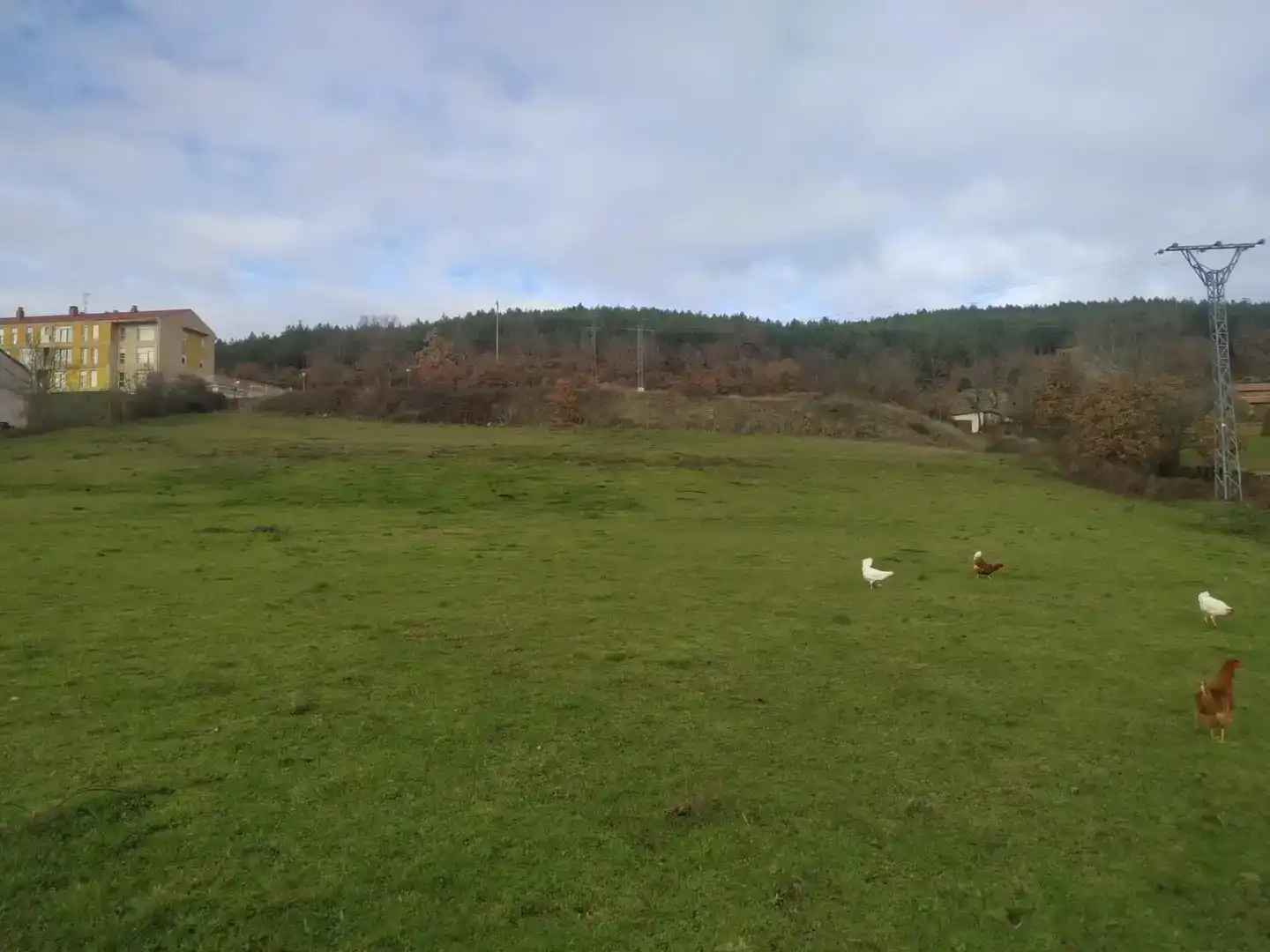 Land for sale in Valderredible