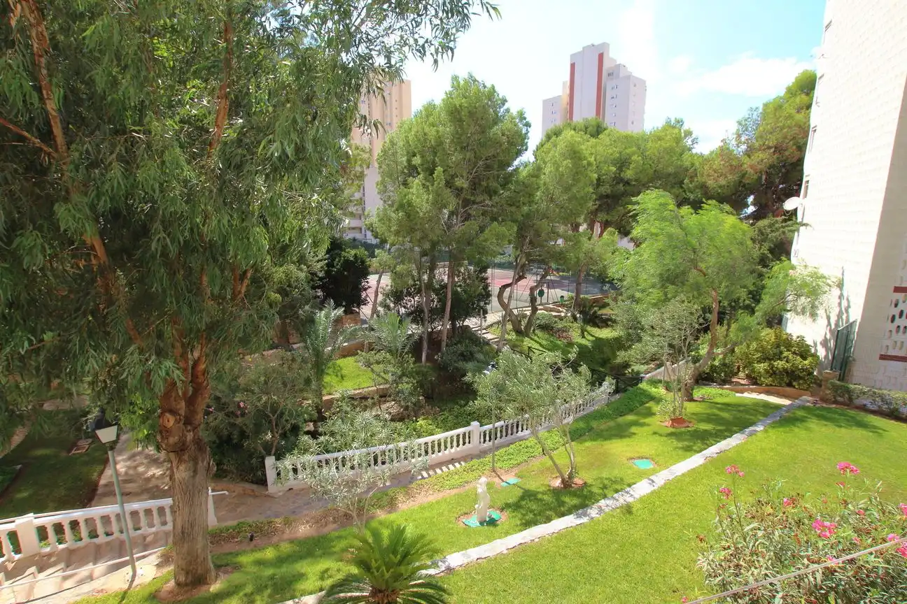 Apartamento en venta en Levante Alto, imagen 23