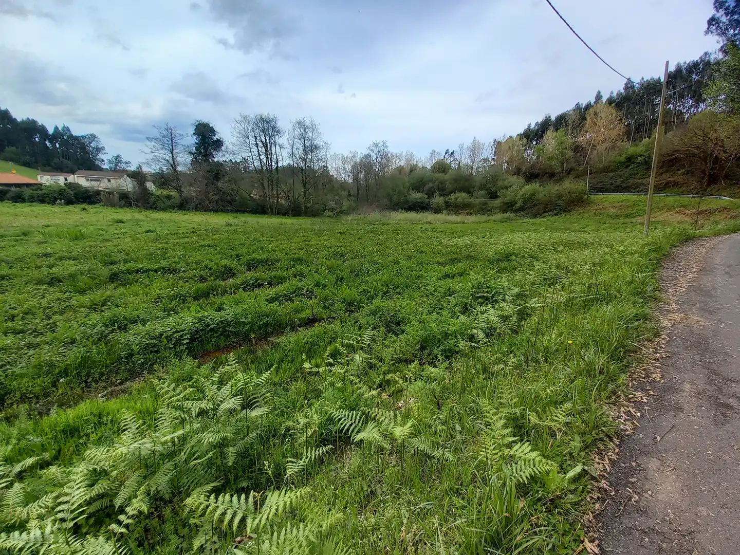 Terreno en venta en N/A, 28, Pillarno