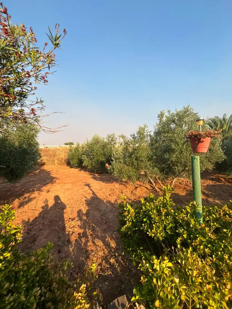 Casa o xalet en venda en Valdepeñas