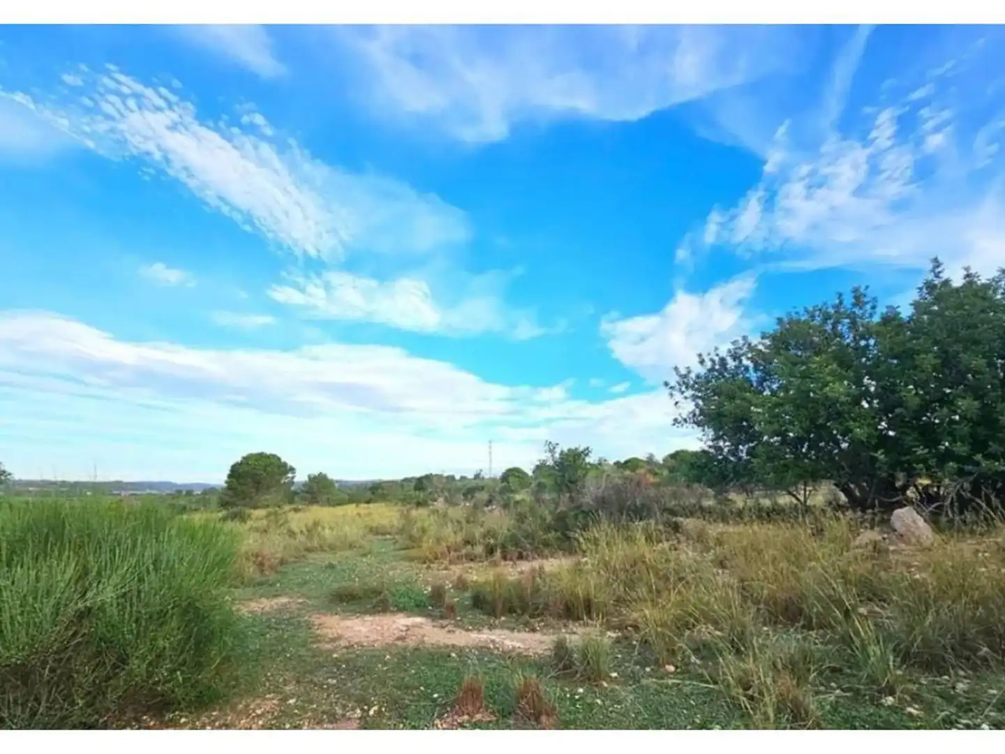 Rural land for sale in Calle de la Fonolleda, imagen 9