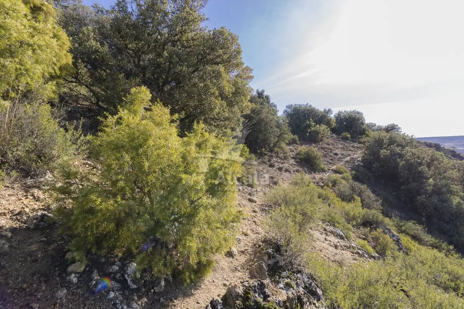 Terreno en venta en Yebes