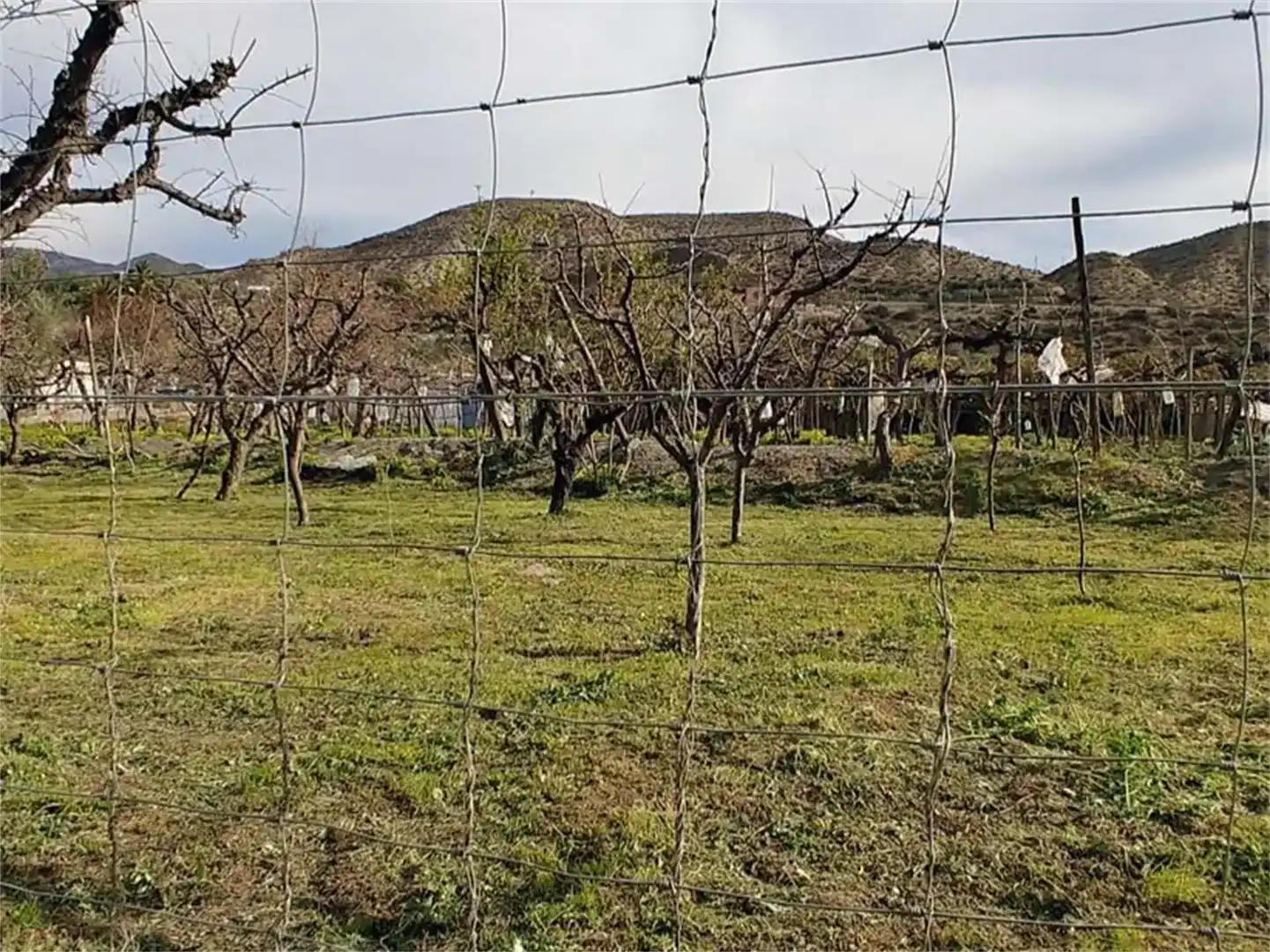 Terreno en venta en Alboloduy, Almería