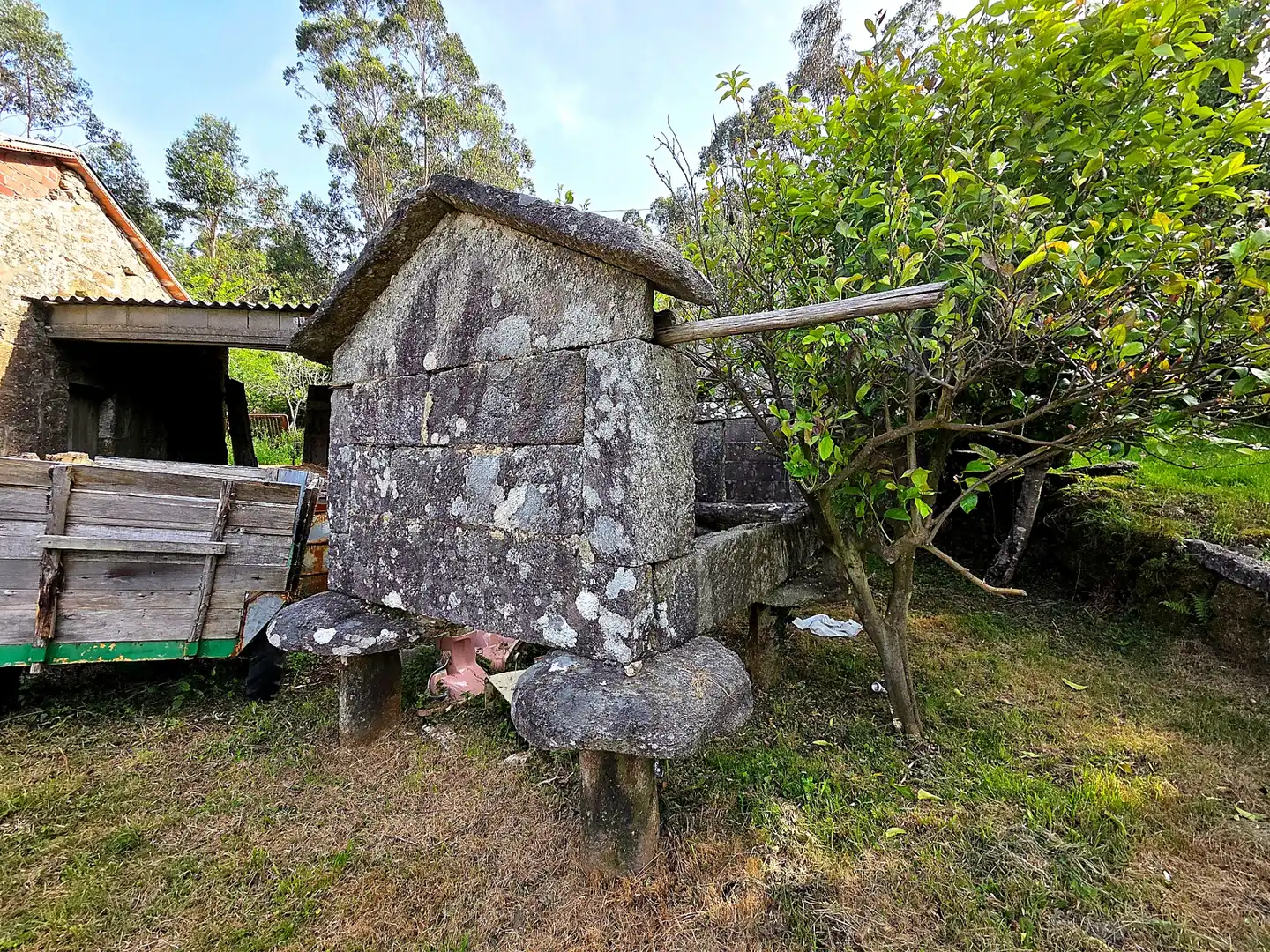 Vista exterior de Finca rústica en venta en Meis con Jardín privado y Terraza