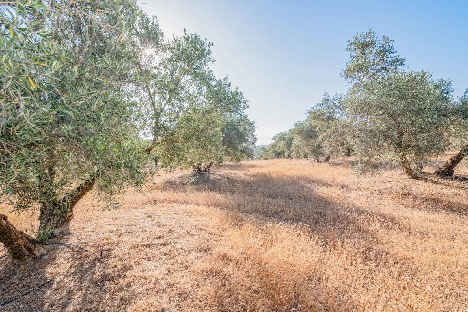 Apartments for sale in Santa Fe