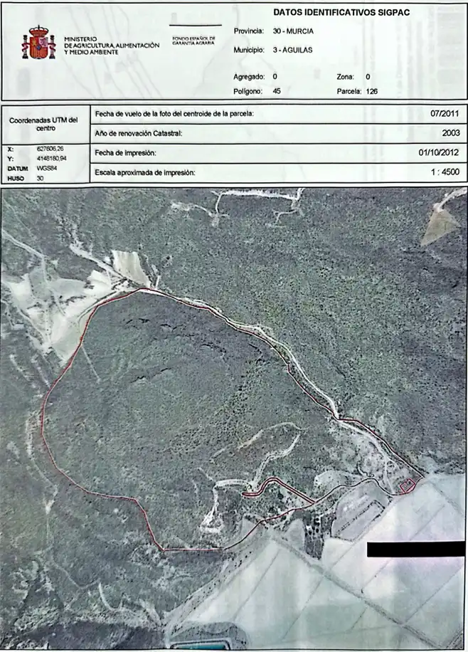 Terreny rústic en venda a Las Majadas-Las Molinetas-Labradorcico, imagen 11