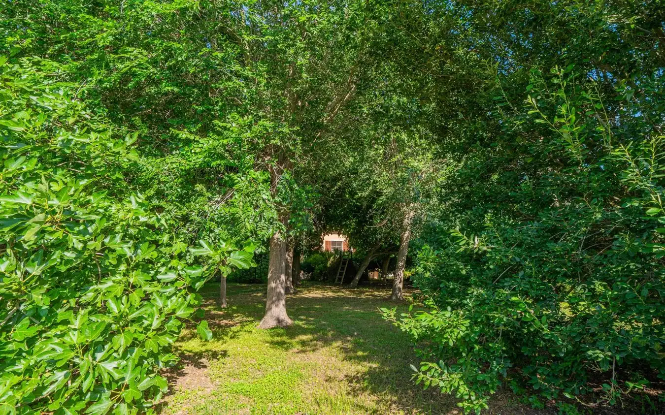 Casa rústica en venta en Montuïri, imagen 26
