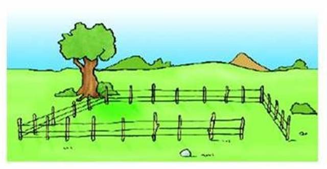 Terreno residencial en Venta en Montijo