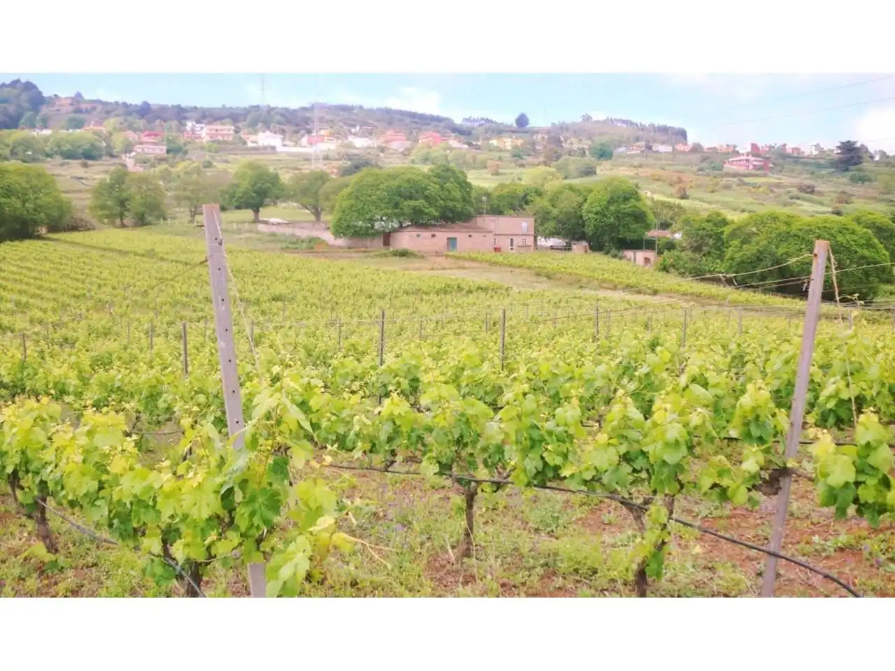 Finca rústica en venta en El Sauzal con Jardín privado