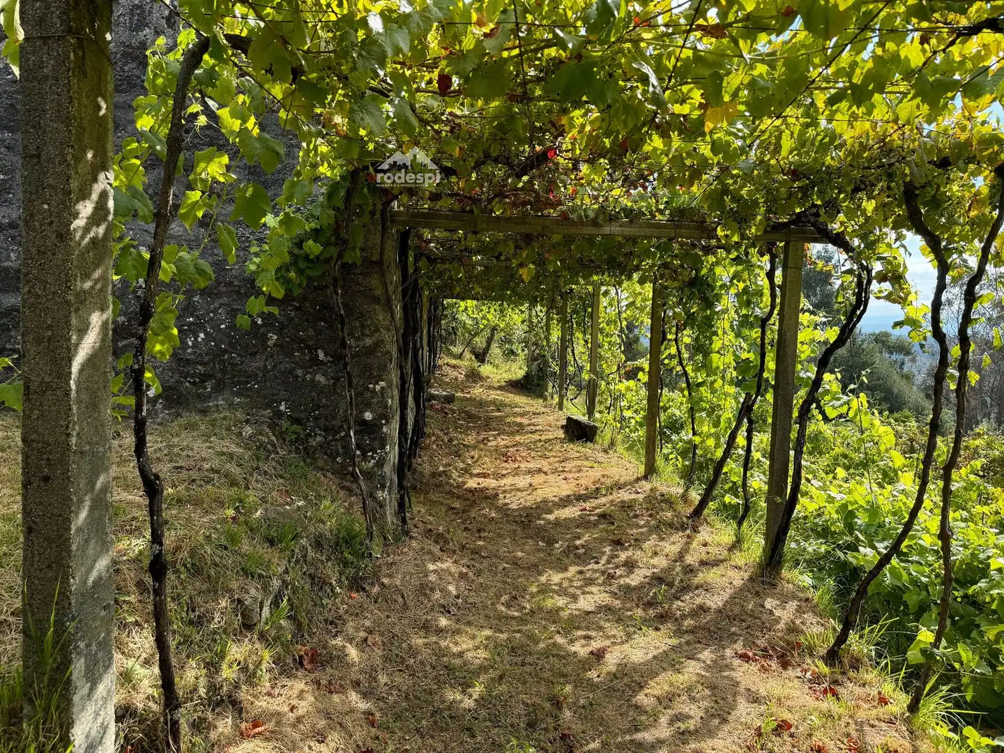 Xalet en venda a A Cañiza, imagen 57