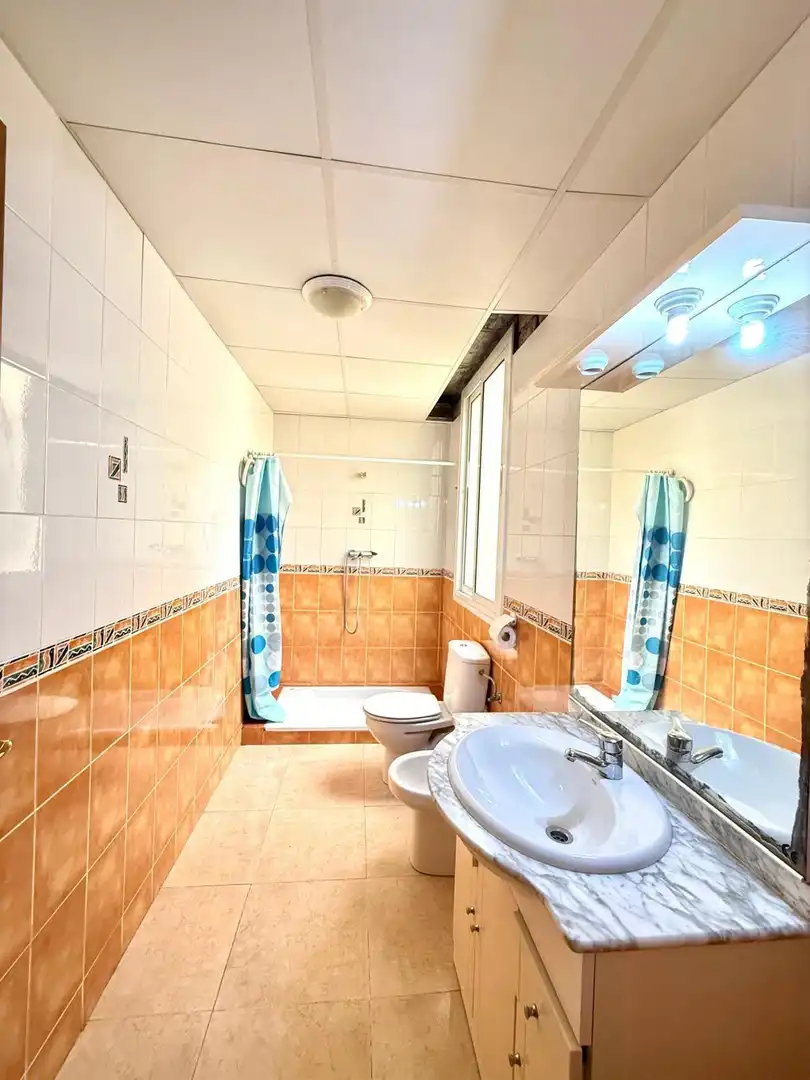 Baño de Edificio en venta en La Pobla de Mafumet