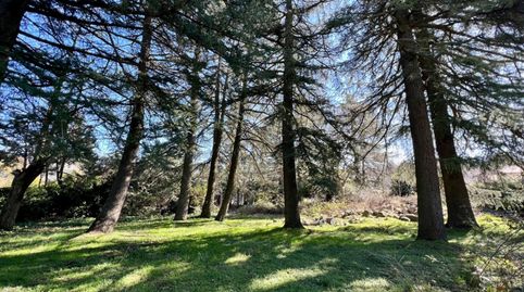Photo 2 of Residential for sale in Cercedilla, Madrid