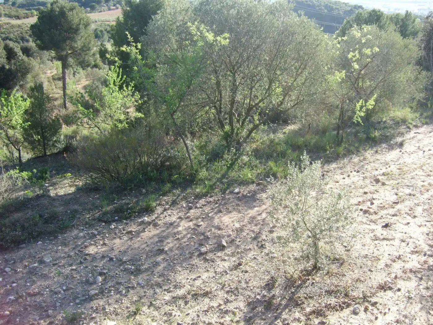 Residential land for sale in Castellbisbal, imagen 7