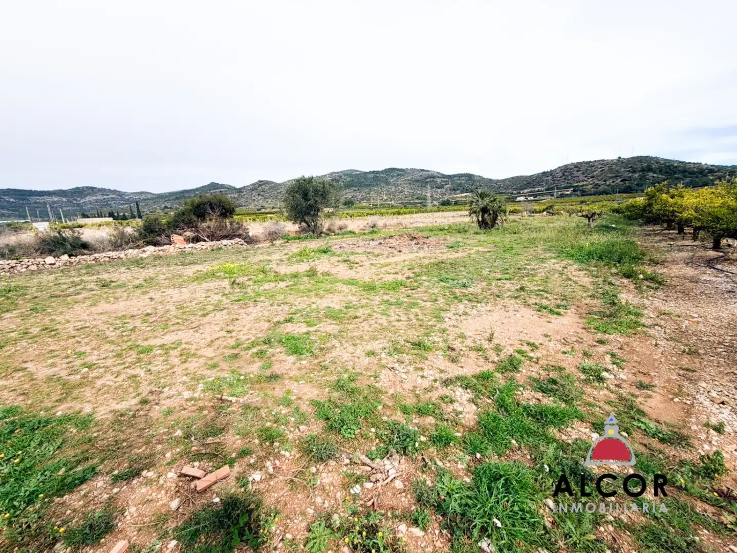 Country house for sale in Alcanar, imagen 17