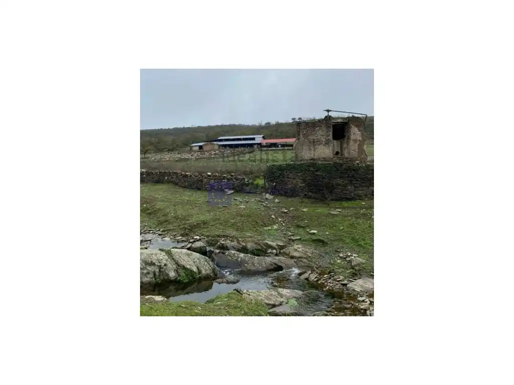 House for sale in Diseminados Carrascal, imagen 18
