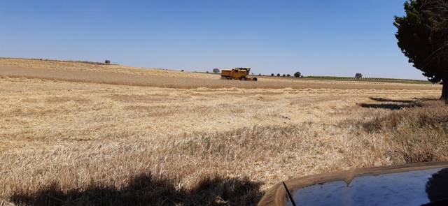 Terreno residencial en Venta en Los Cigarrales-La Bastida