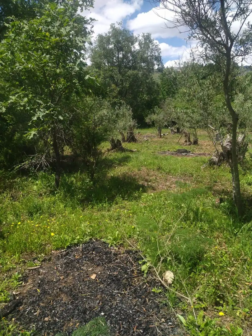 Terreni e lotti in vendita a Villanueva de la Vera, imagen 6
