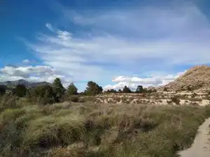 Finca rústica en venta en Alicante / Alacant con Piscina