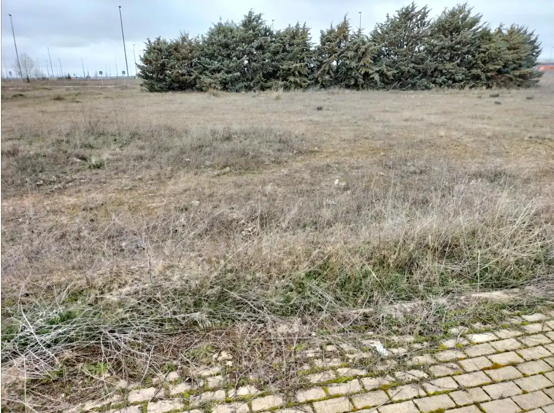 Terreni e lotti in vendita a Sónsoles, imagen 6