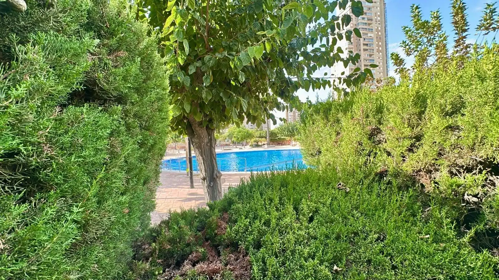 Ground floor with pool for sale in Calle de Petrer, imagen 24