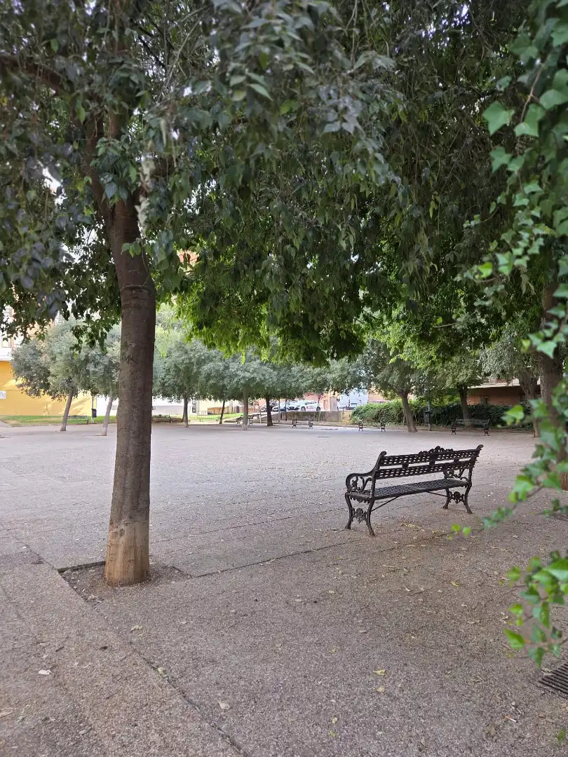 Pis amb jardí de lloguer a Avenida Antonio Masa Campos 33, imagen 28