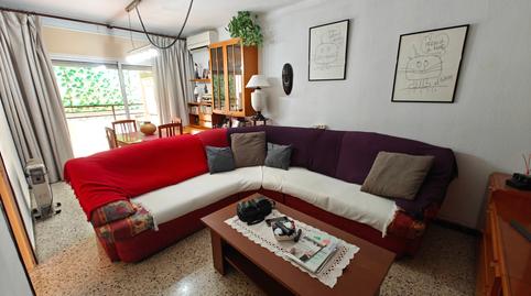 Photo 2 of Planta baja for sale in Premià de Dalt, Barcelona