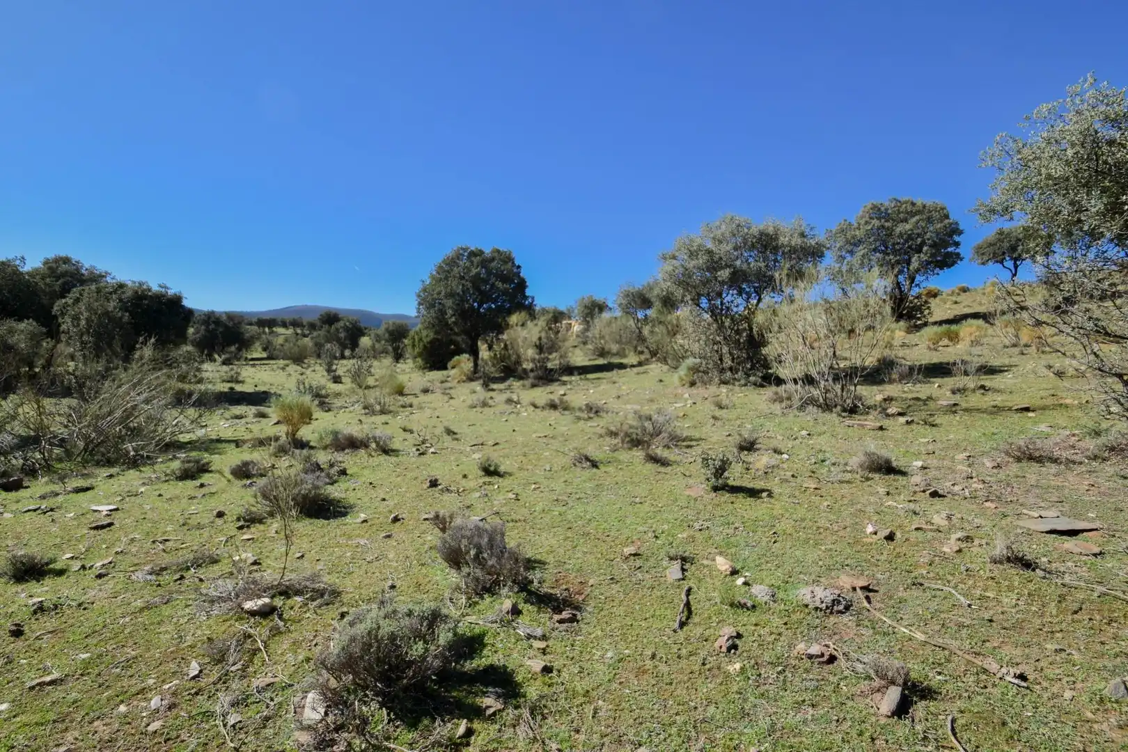 Terreno en venta en Paraje de las Perdices, Lugros
