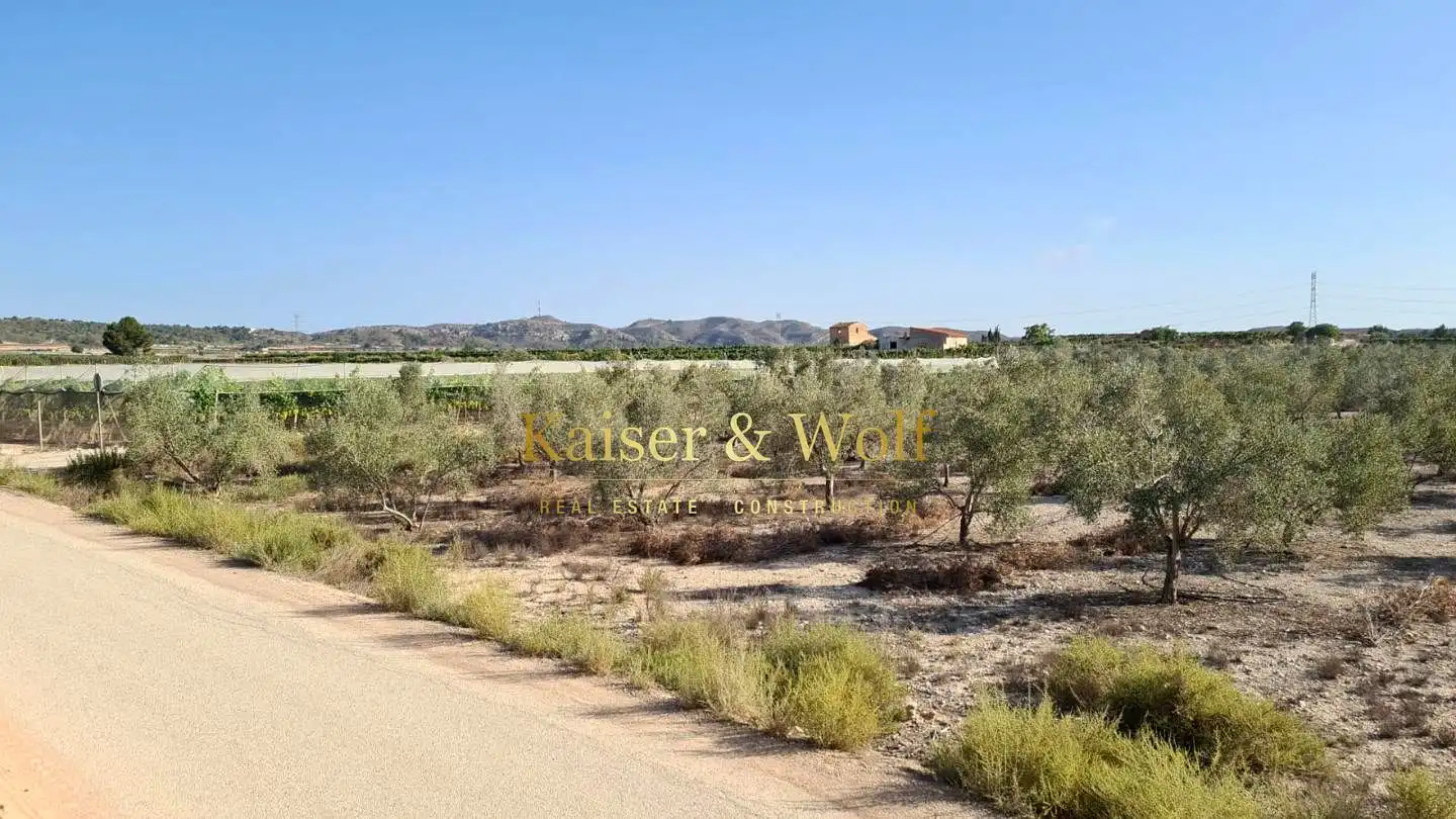 Terrenos y solares en venta en Monforte del Cid, imagen 8