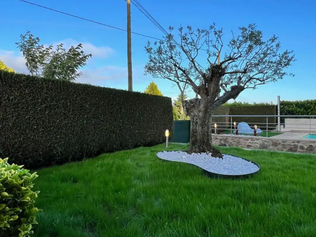 Jardí de Casa o xalet en venda en Santiago de Compostela  amb Terrassa, Piscina i Balcó